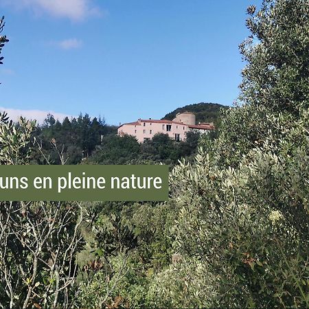 Felluns Pyrenees Mon Amour מראה חיצוני תמונה