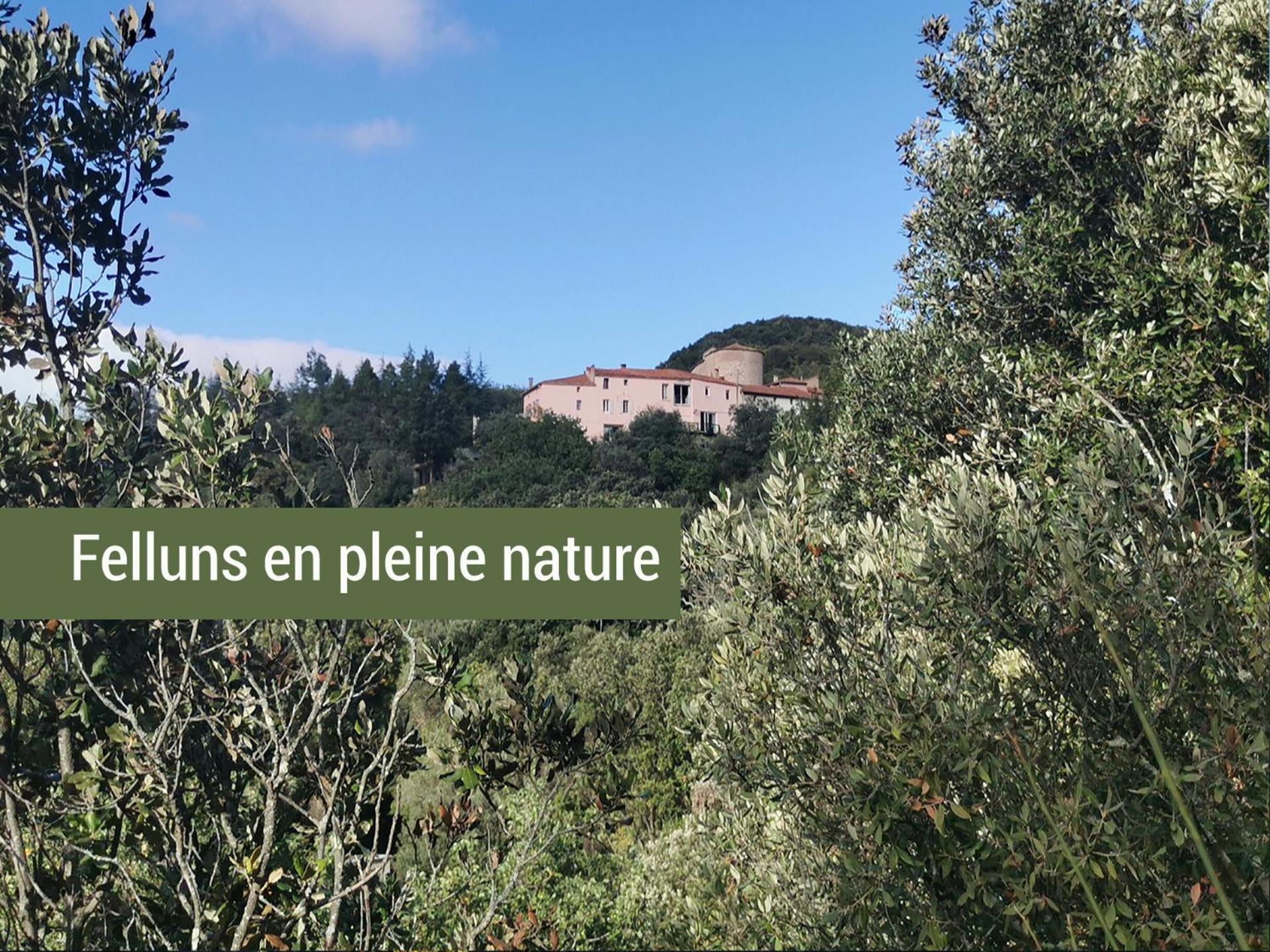 Felluns Pyrenees Mon Amour מראה חיצוני תמונה