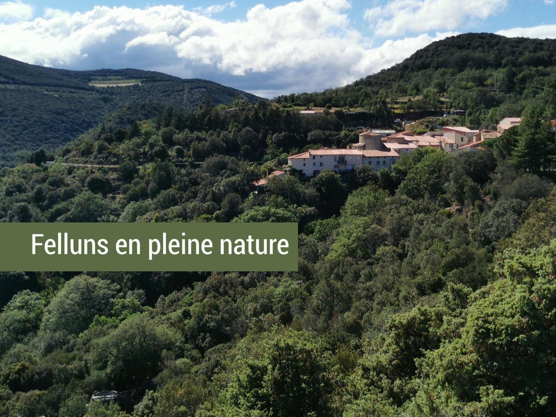 Felluns Pyrenees Mon Amour מראה חיצוני תמונה